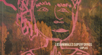 Los Animales Superforros - Chacabit
