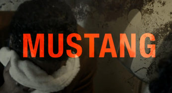 Mustang - Le Sens des Affaires