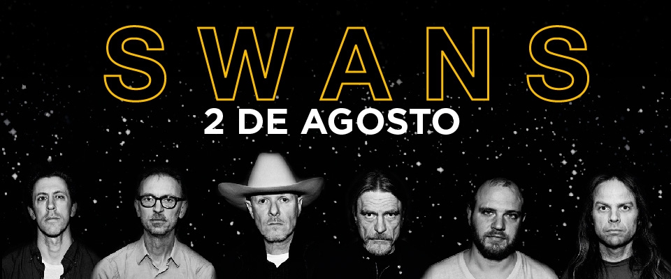 swans-show