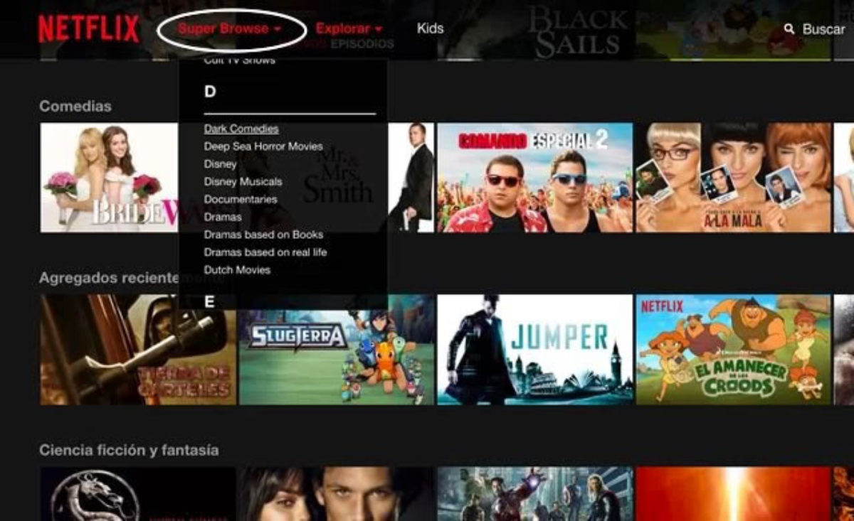 Como acceder a las categorías ocultas de Netflix - Roca de Guía