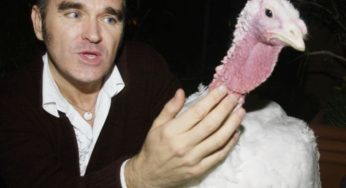 Morrissey y PETA se alían para una nueva campaña publicitaria