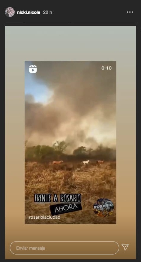 Músicos reaccionan contra los incendios forestales en Argentina 11 2024