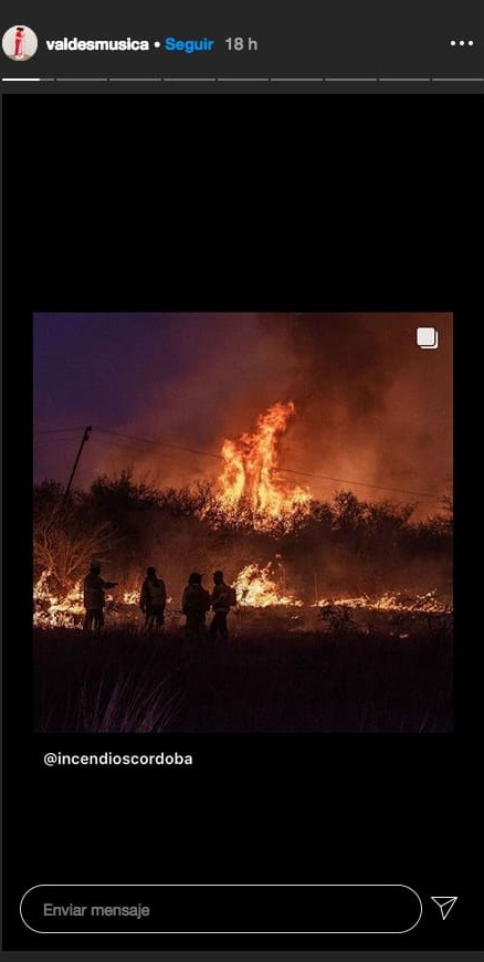 Músicos reaccionan contra los incendios forestales en Argentina 23 2024