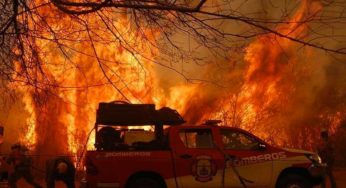 Músicos reaccionan contra los incendios forestales en Argentina