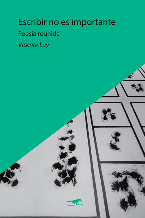 Portada de "Escribir no es importante", libro de Vicente Luy