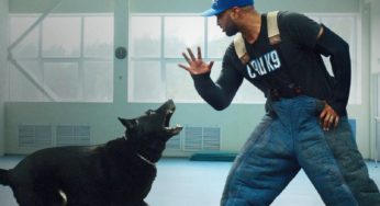 Adiestramiento canino: La nueva serie de Netflix que sigue el trabajo de un entrenador de perros