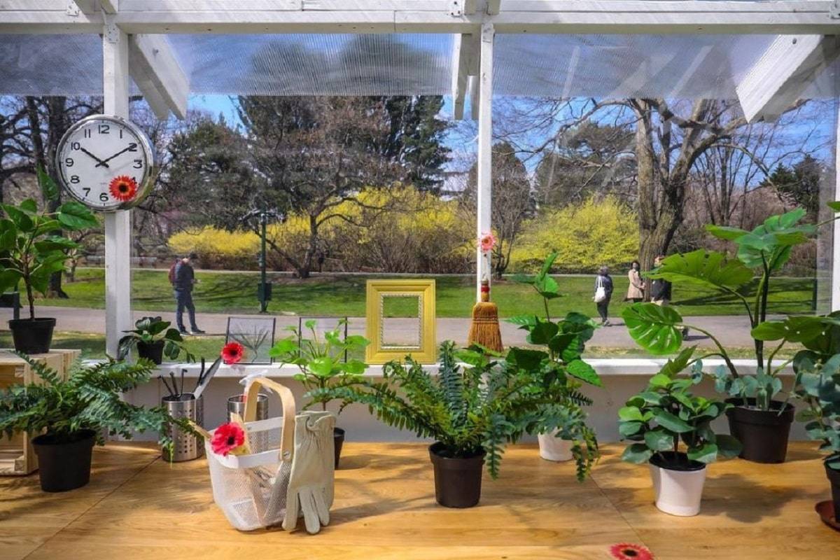 La obra de Kusama en el Jardín Botánico de NY