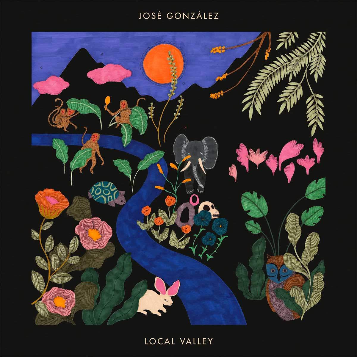 Tapa de Local Valley, disco de José González