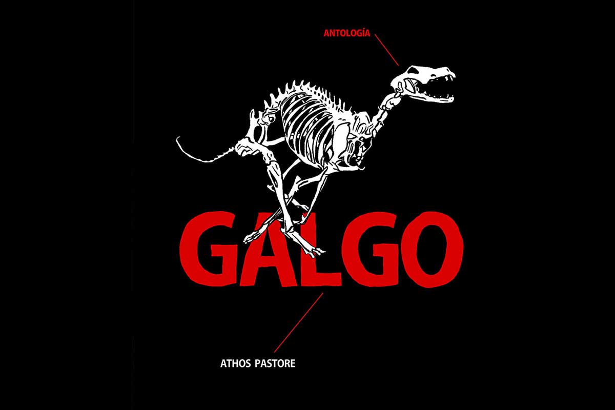 Galgo, libro de Athos Pastore