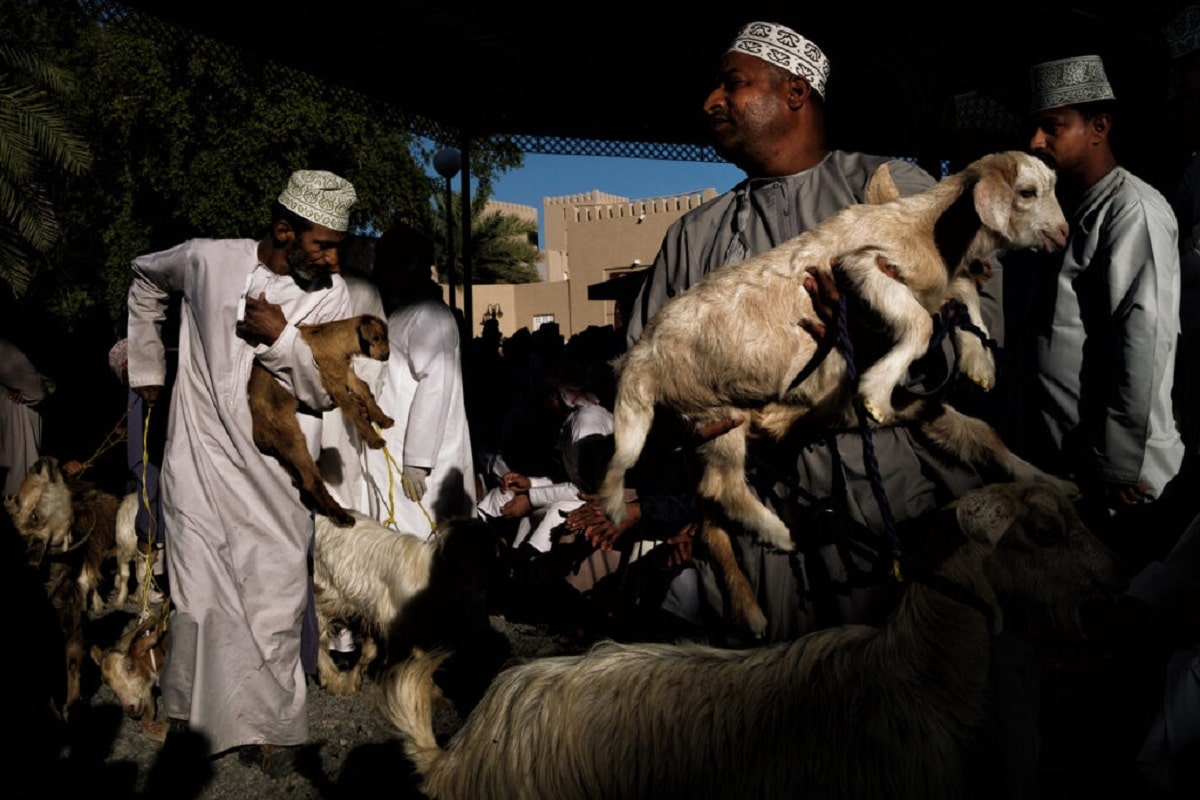 Goat auction in Nizwa - Maude Bardet