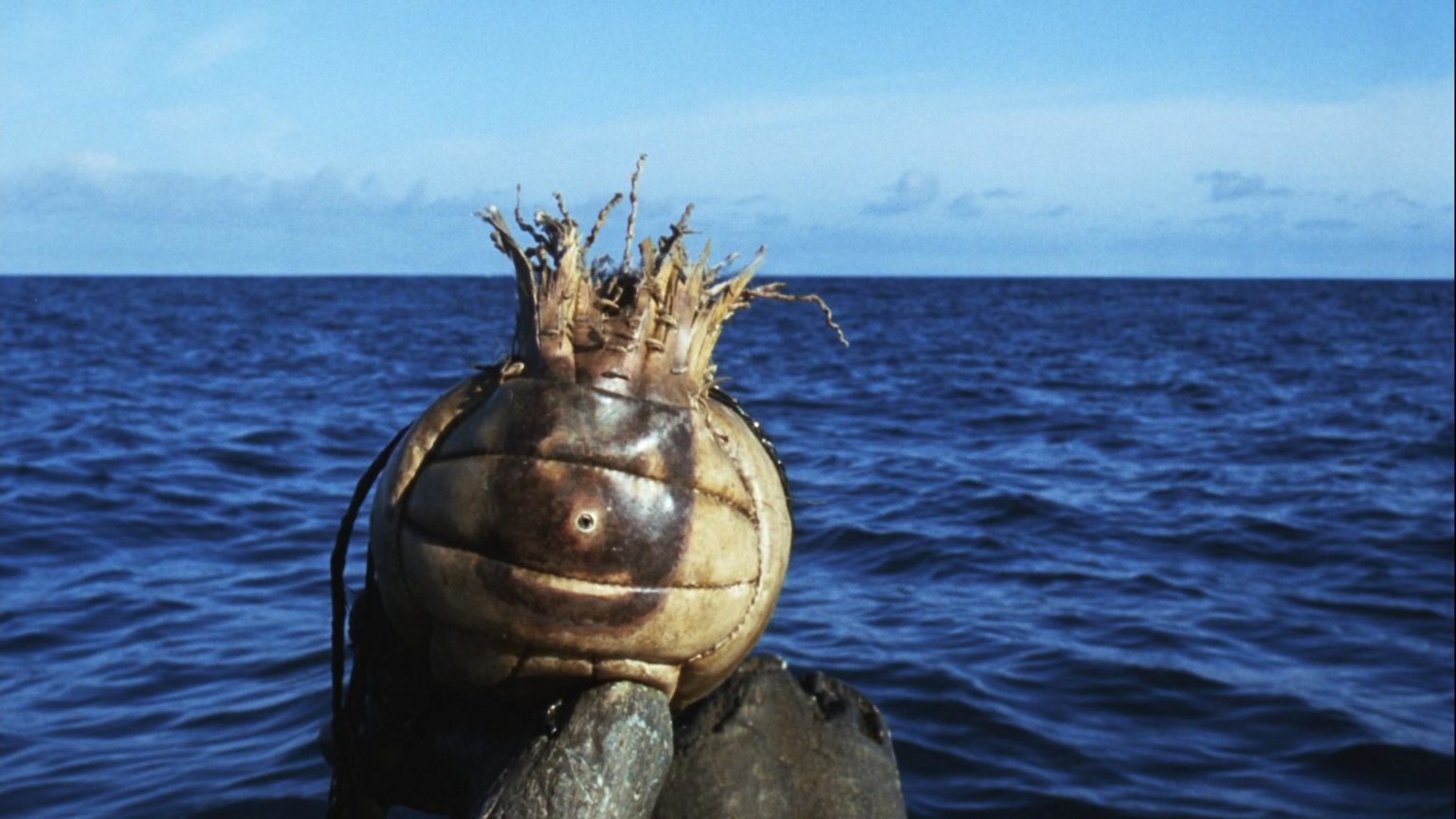 Wilson