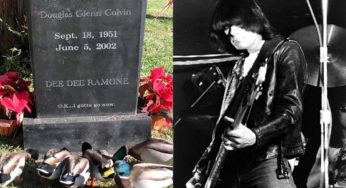 Los patos que visitan a diario la tumba de Dee Dee Ramone y se volvieron viral