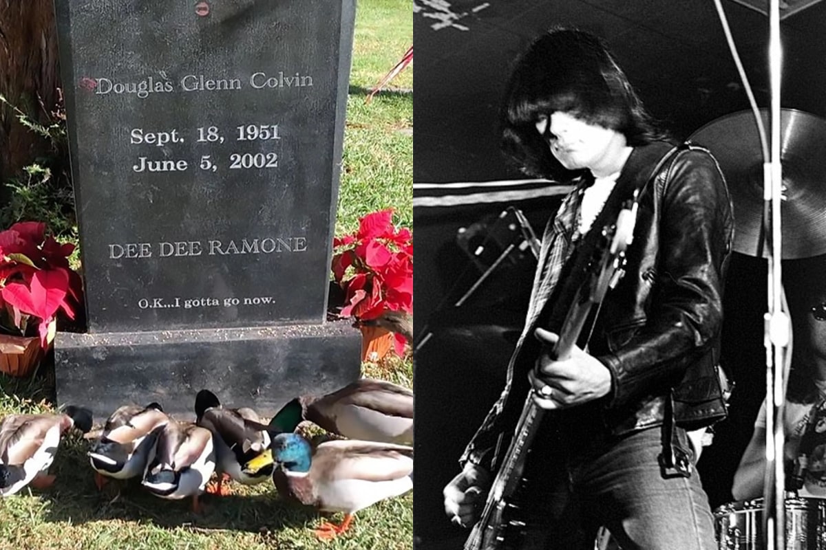 Los patos que visitan la tumba de Dee Dee / Dee Dee Ramone
