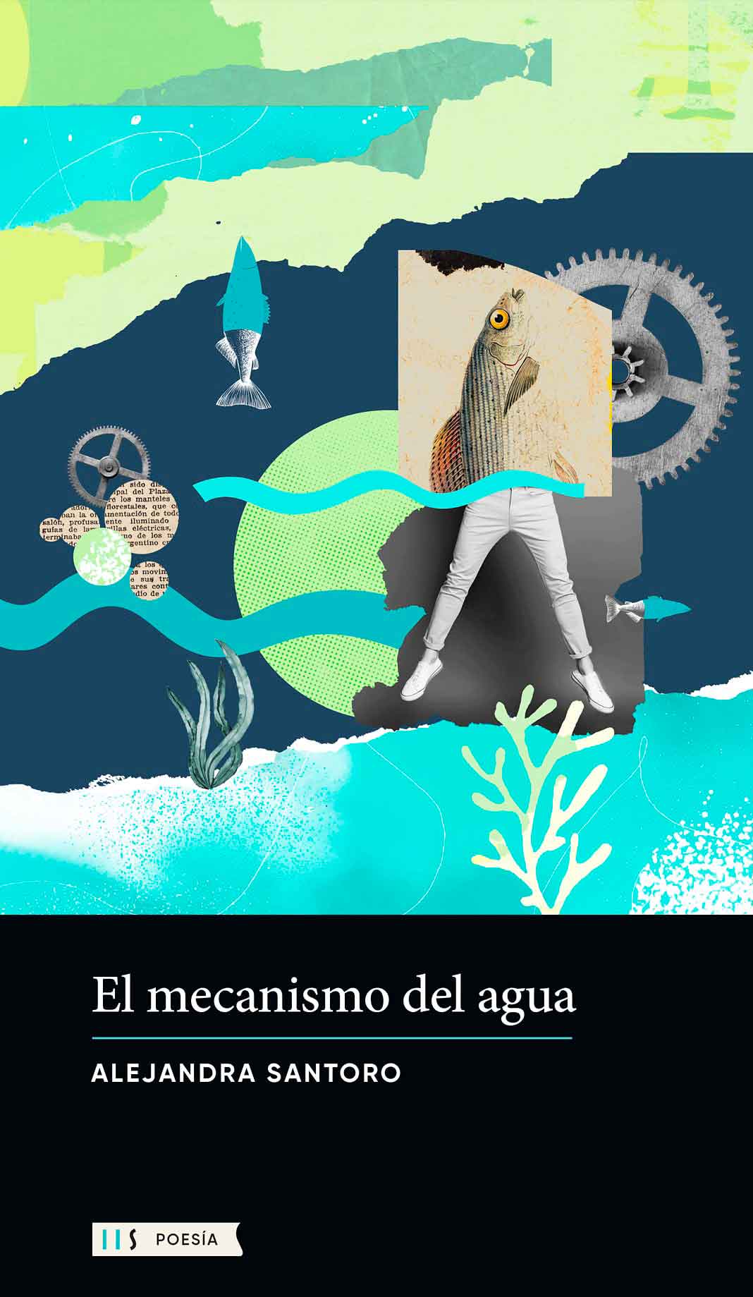 Tapa de "El mecanismo del agua", libro de Alejandra Santoro