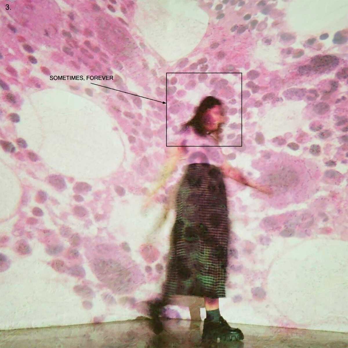 Tapa de Sometimes, Forever, disco de Soccer Mommy