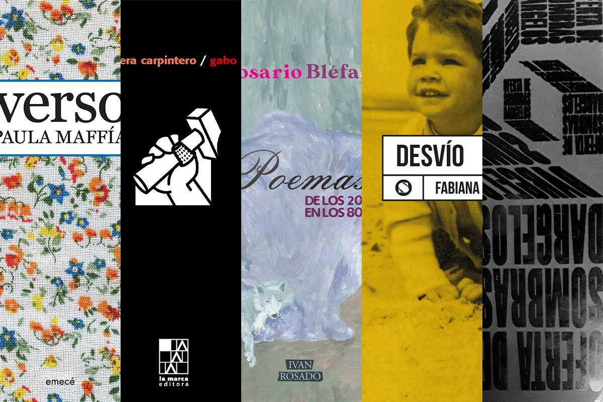 5 libros de cantautores poetas argentinos