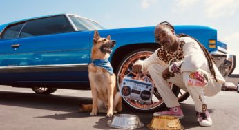 Snoop Dogg presenta una colección de ropa para perros