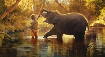 Nuestro bebé elefante: 4 datos sobre el corto de Netflix que ganó un Oscar y ya se puede ver
