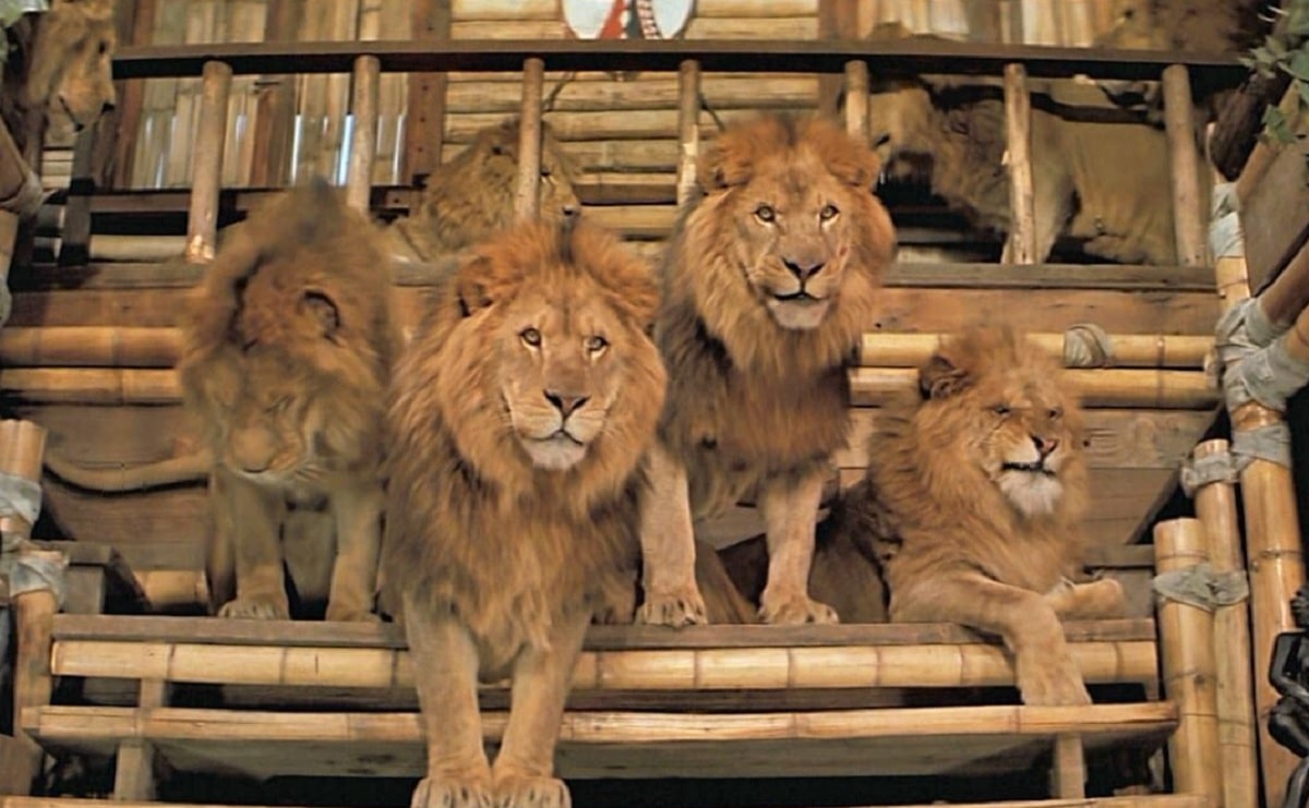 Roar