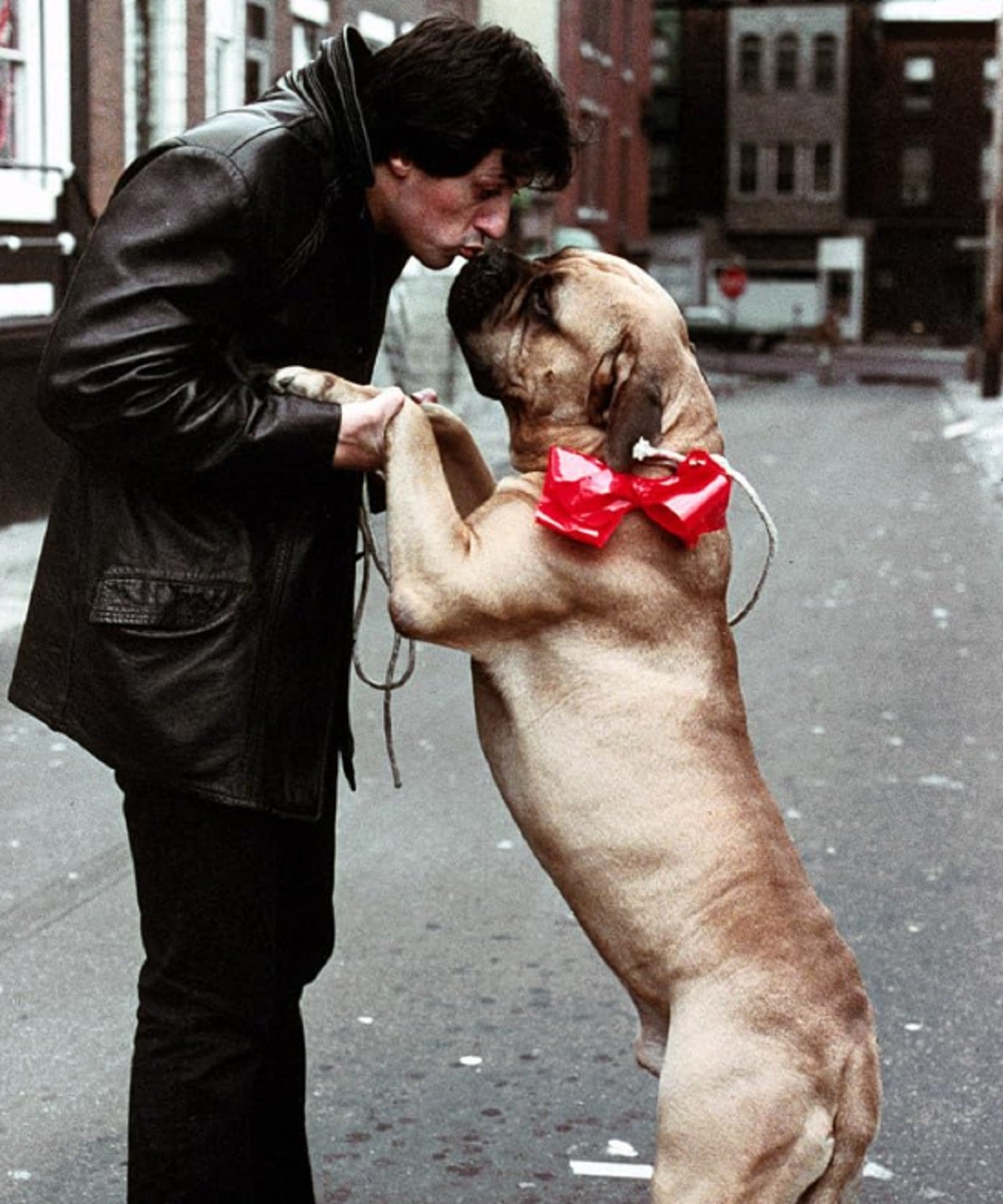 Sylvester Stallone y su perro.