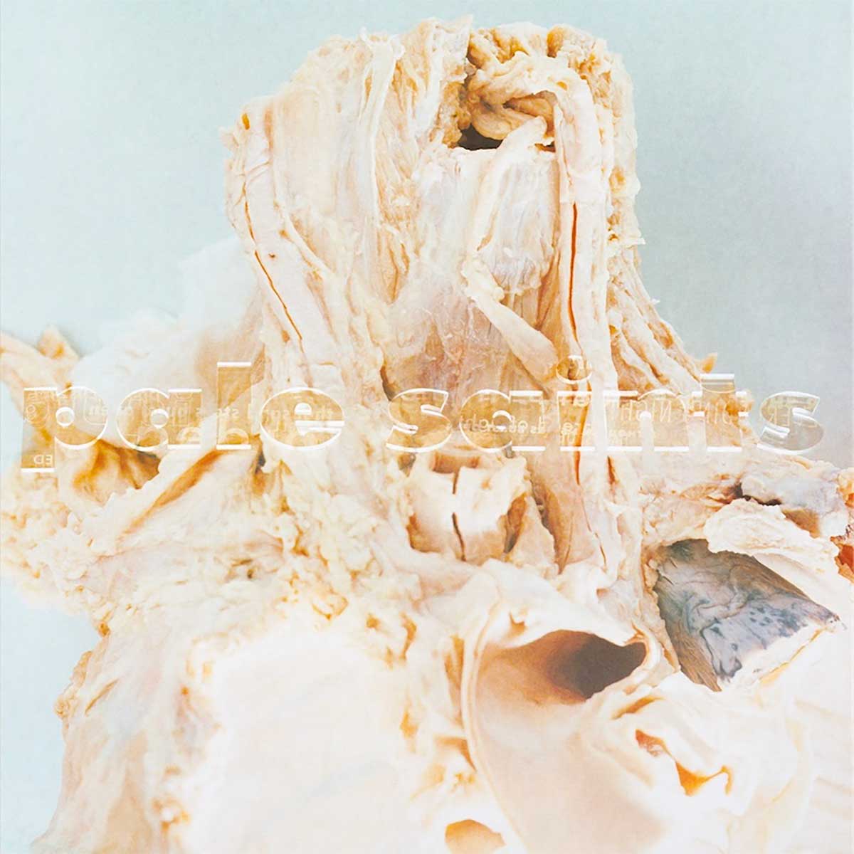 Tapa de In Ribbons, disco de Pale Saints