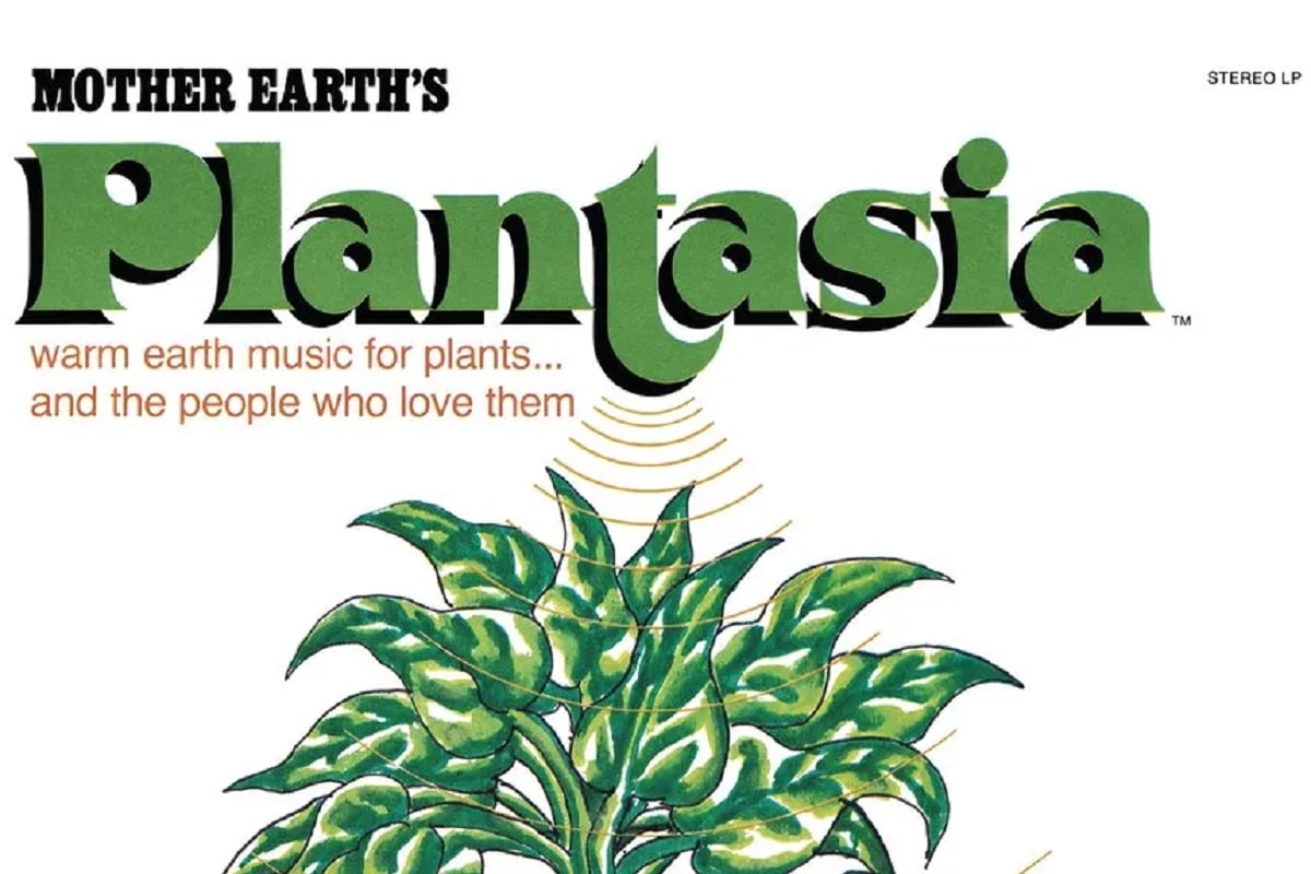 El disco instrumental pensado para plantas que tenés que escuchar