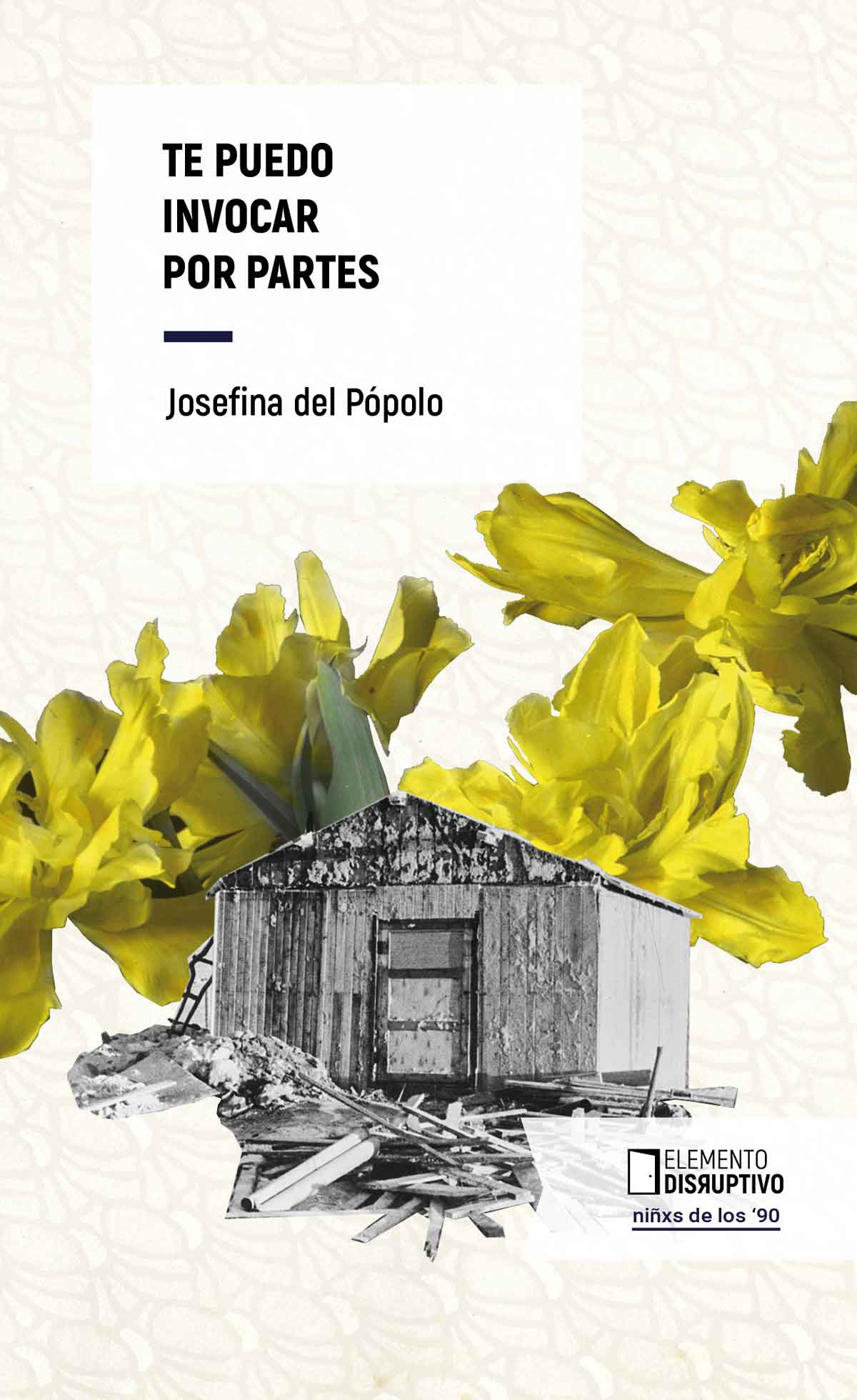 Te puedo invocar por partes, de Josefina Del Pópolo