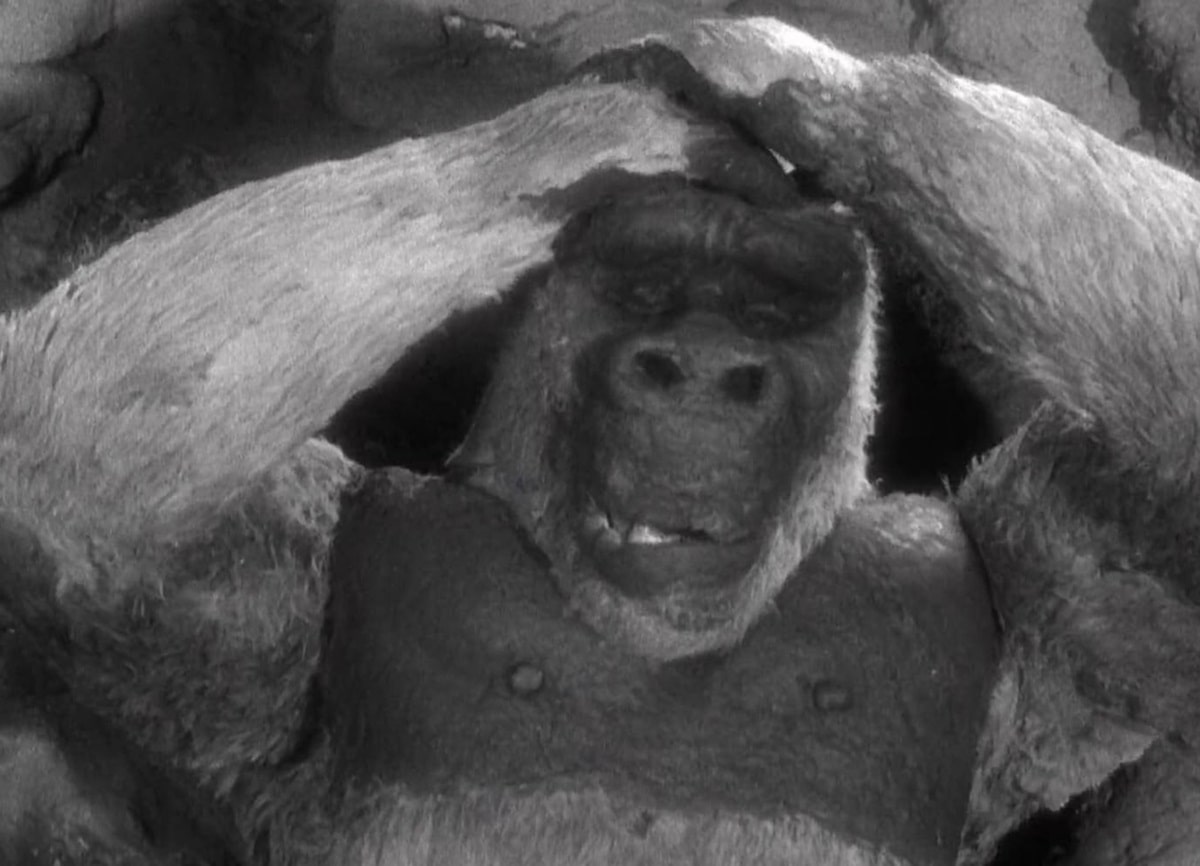El hijo de Kong (1933)