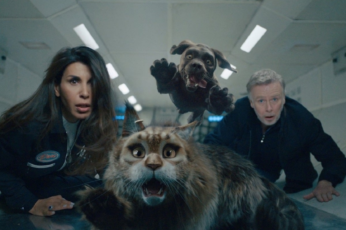 Perro y gata, película tendencia en Netflix