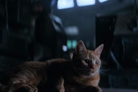 De Shrek 2 a Alien: 3 gatos del cine que serán recordados Alien (1979)