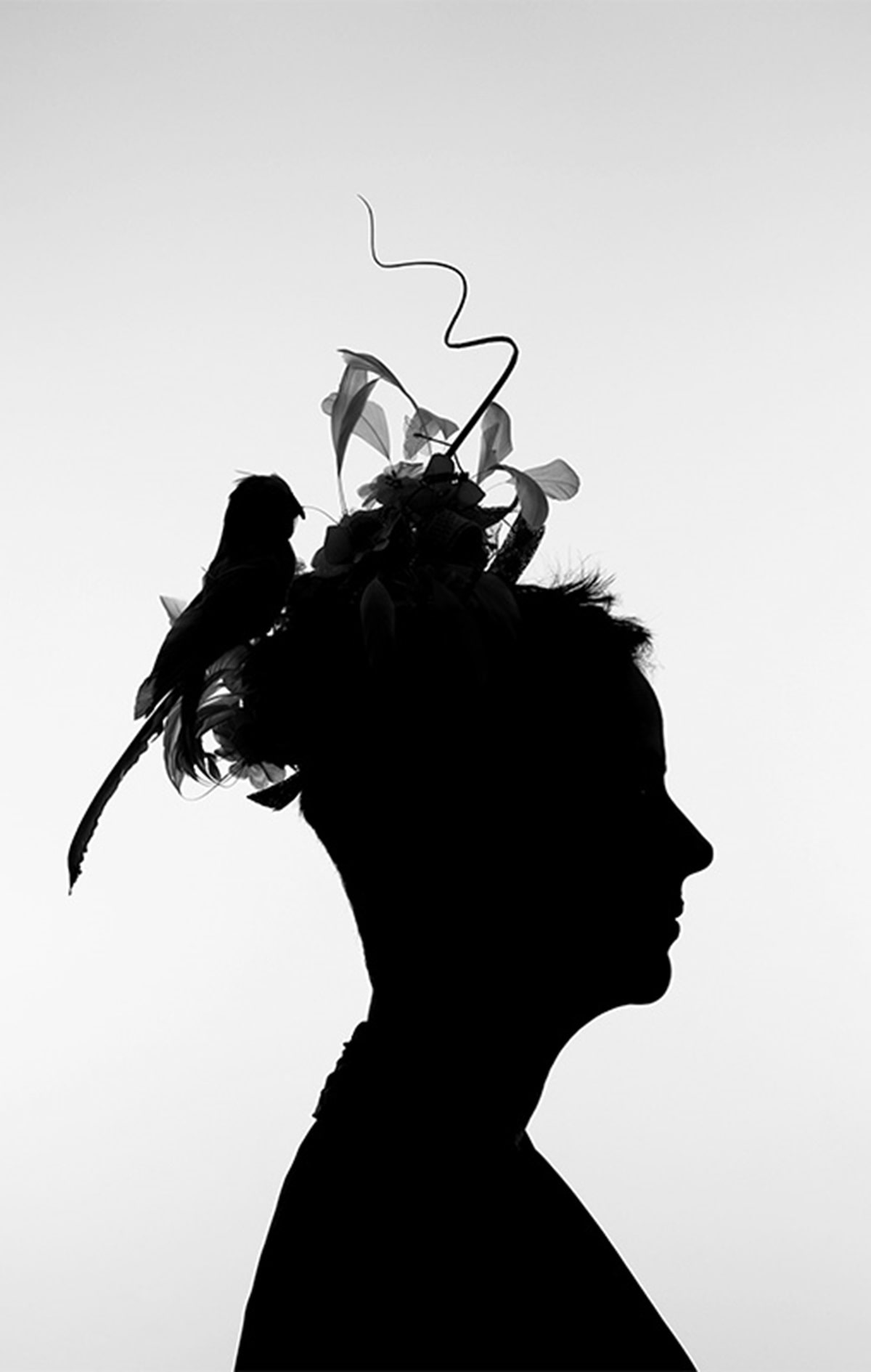 Impresion - Rosana Schoijett