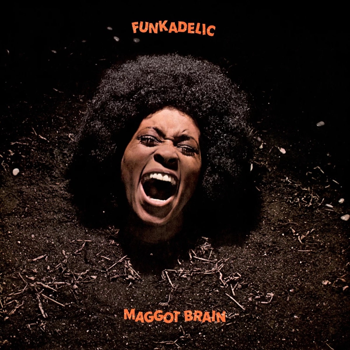 Funkadelic - Maggot Brain