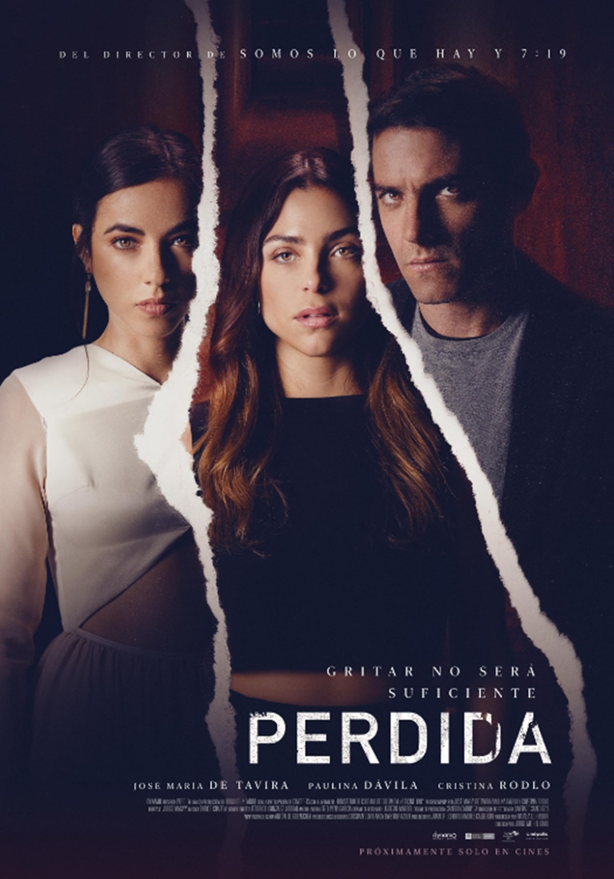 Póster de Perdida