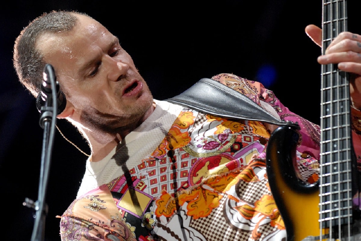 Flea