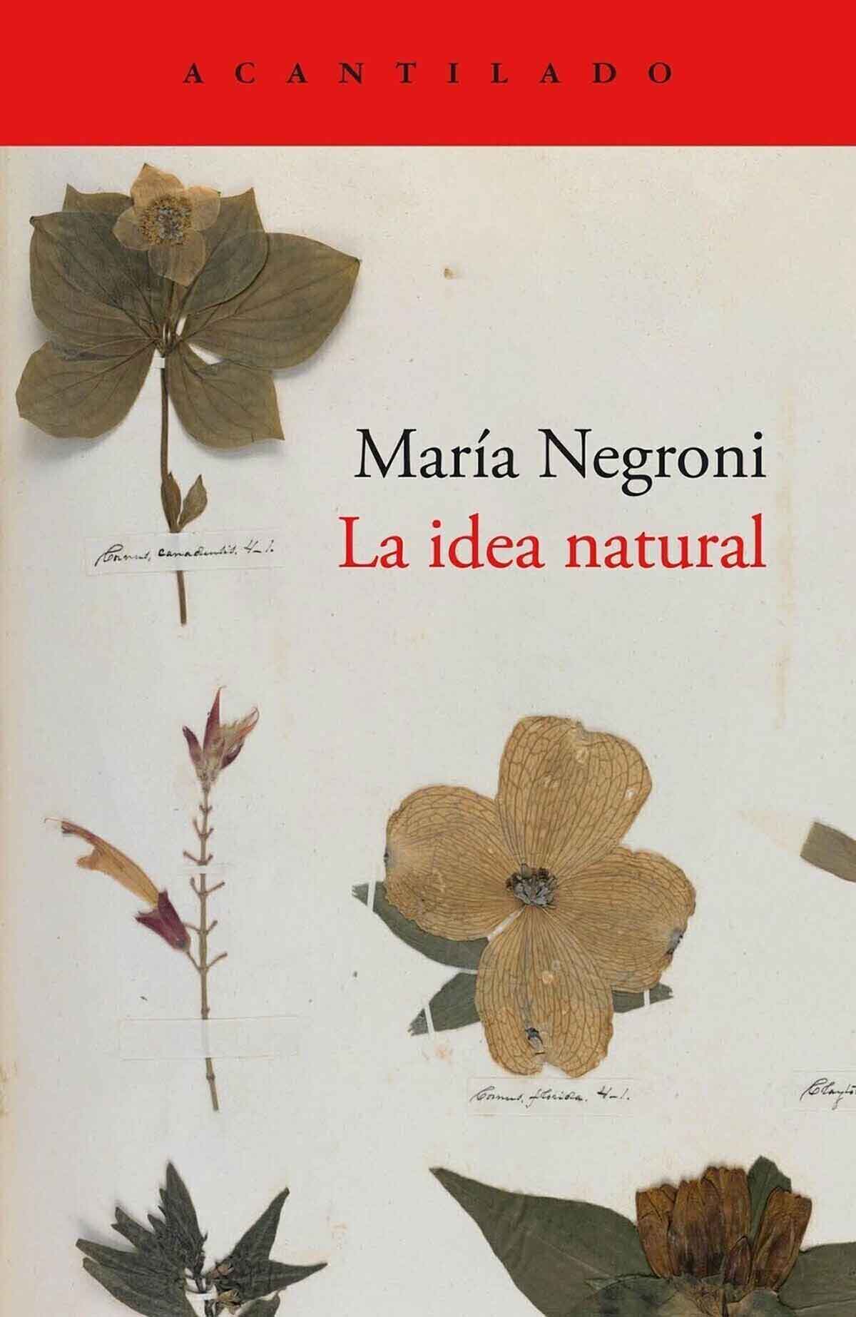 La idea natural de María Negroni