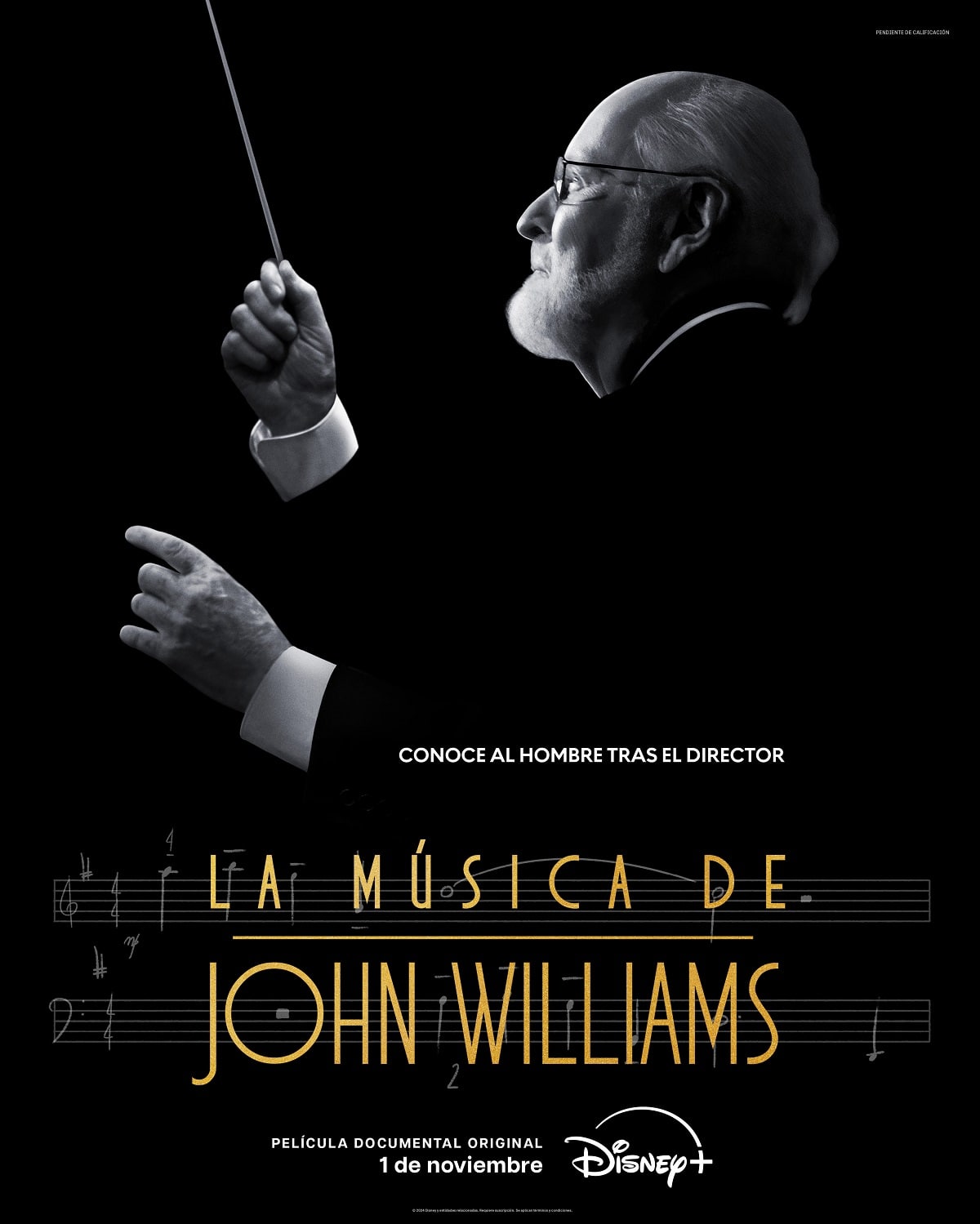 Póster del film La música de John Williams