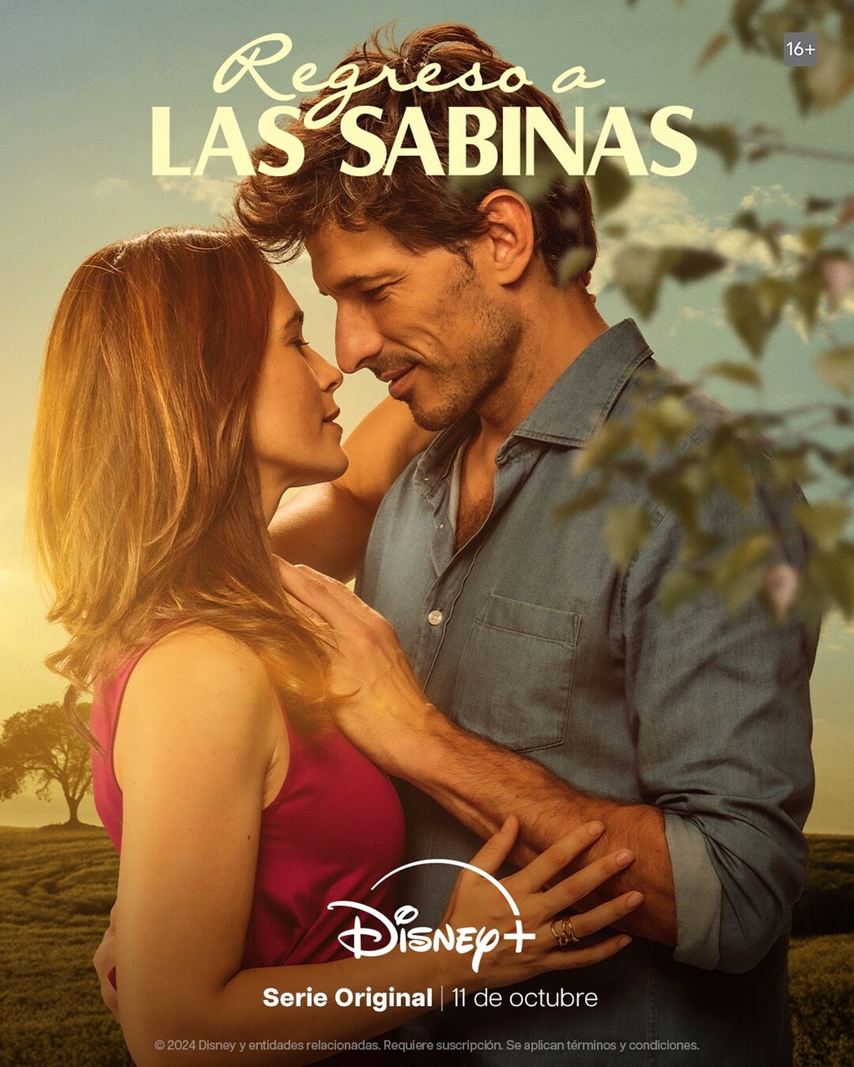 Póster de Regreso a las Sabinas