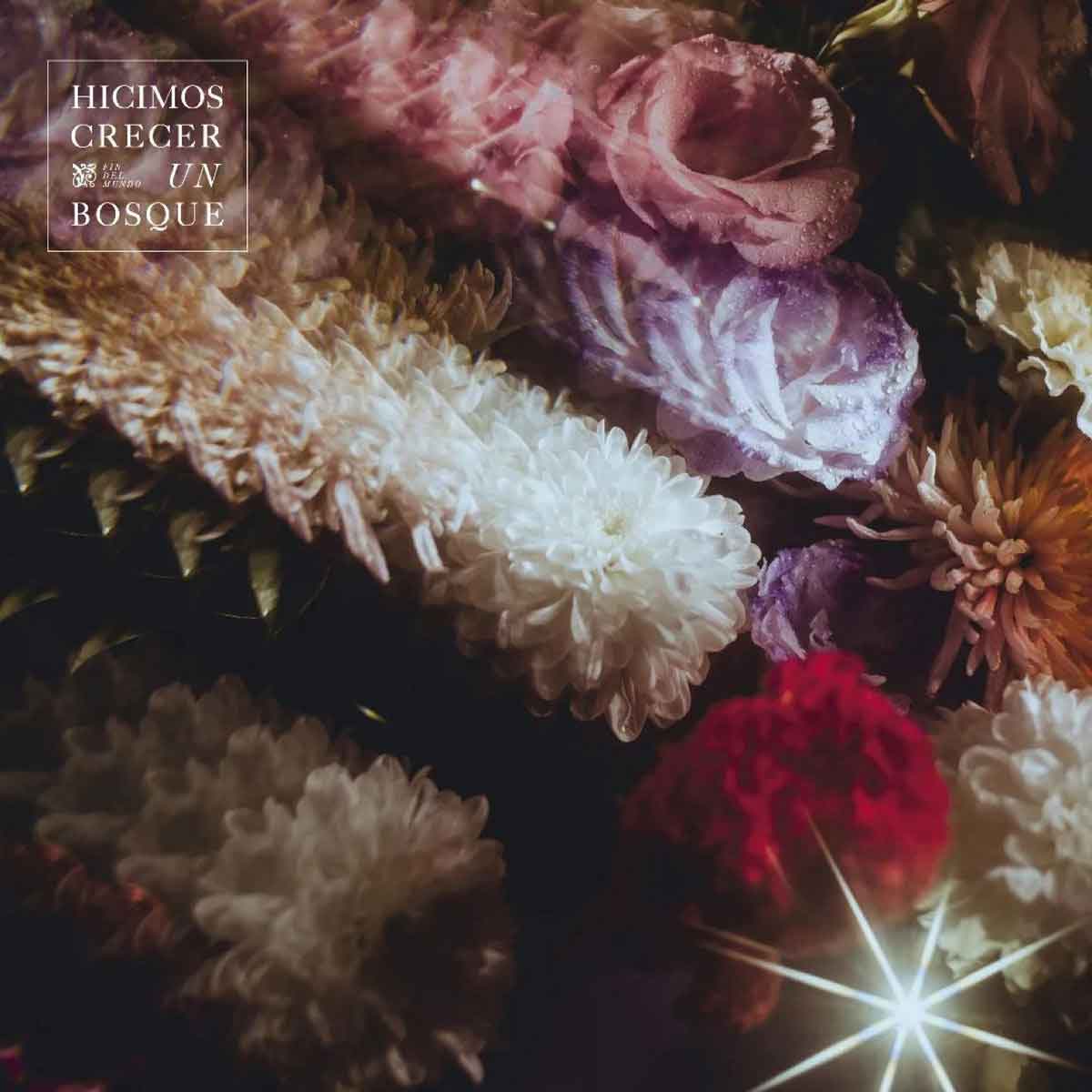 Tapa de Hicimos crecer un bosque, disco de Fin del Mundo