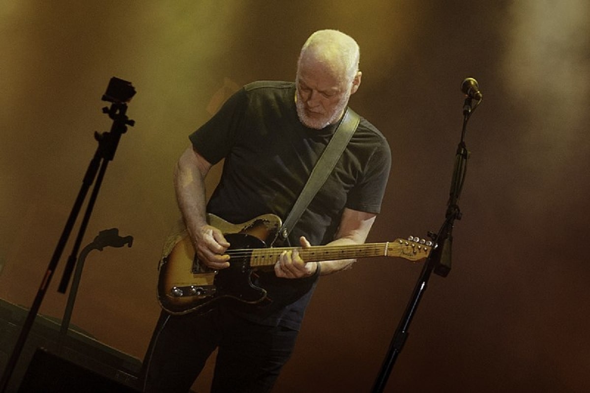 David Gilmour