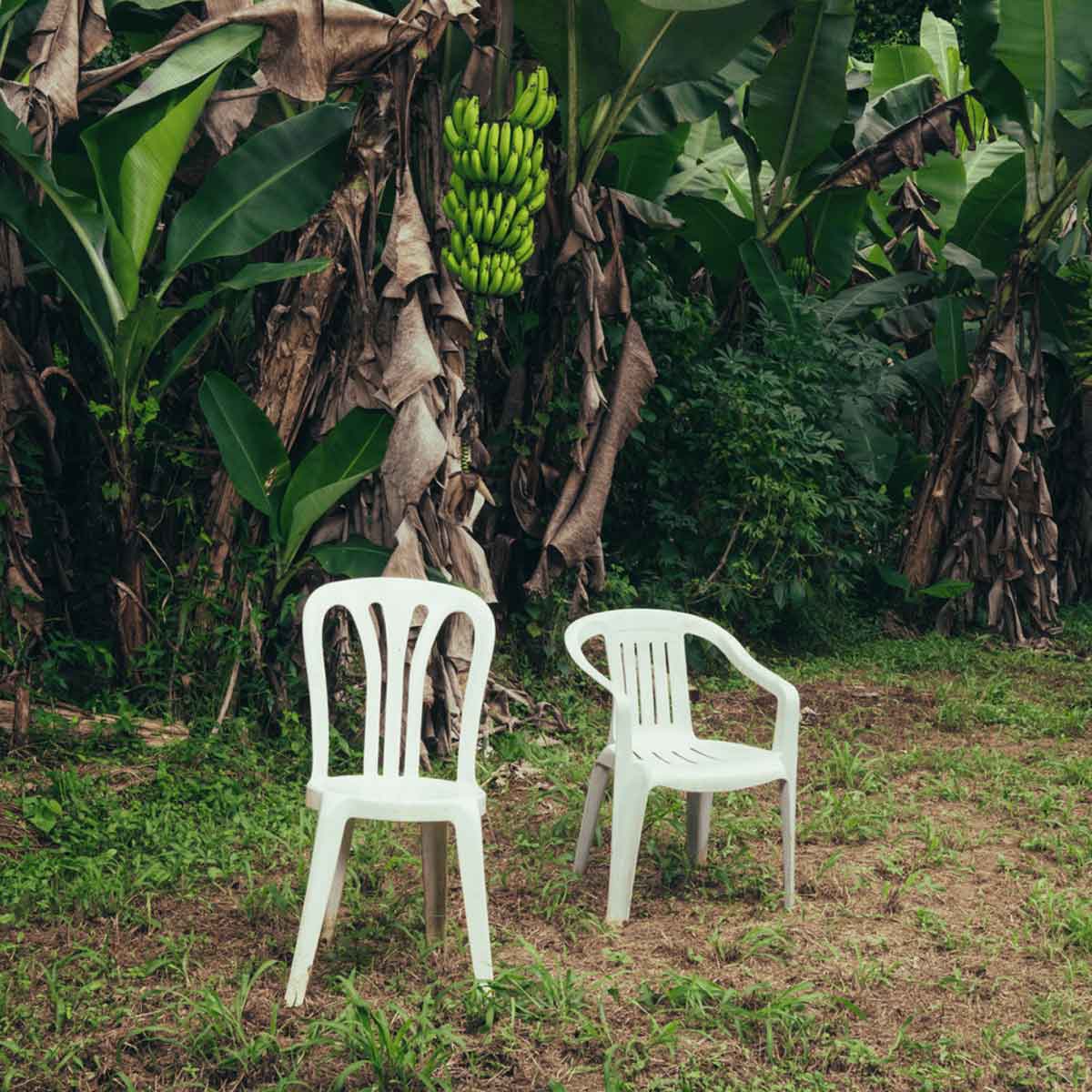 Portada de Debí tirar más fotos de Bad Bunny.