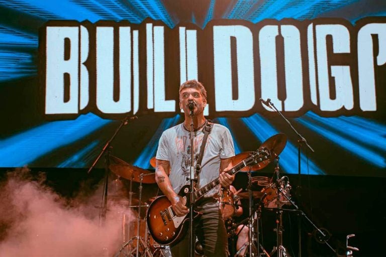 Bulldog