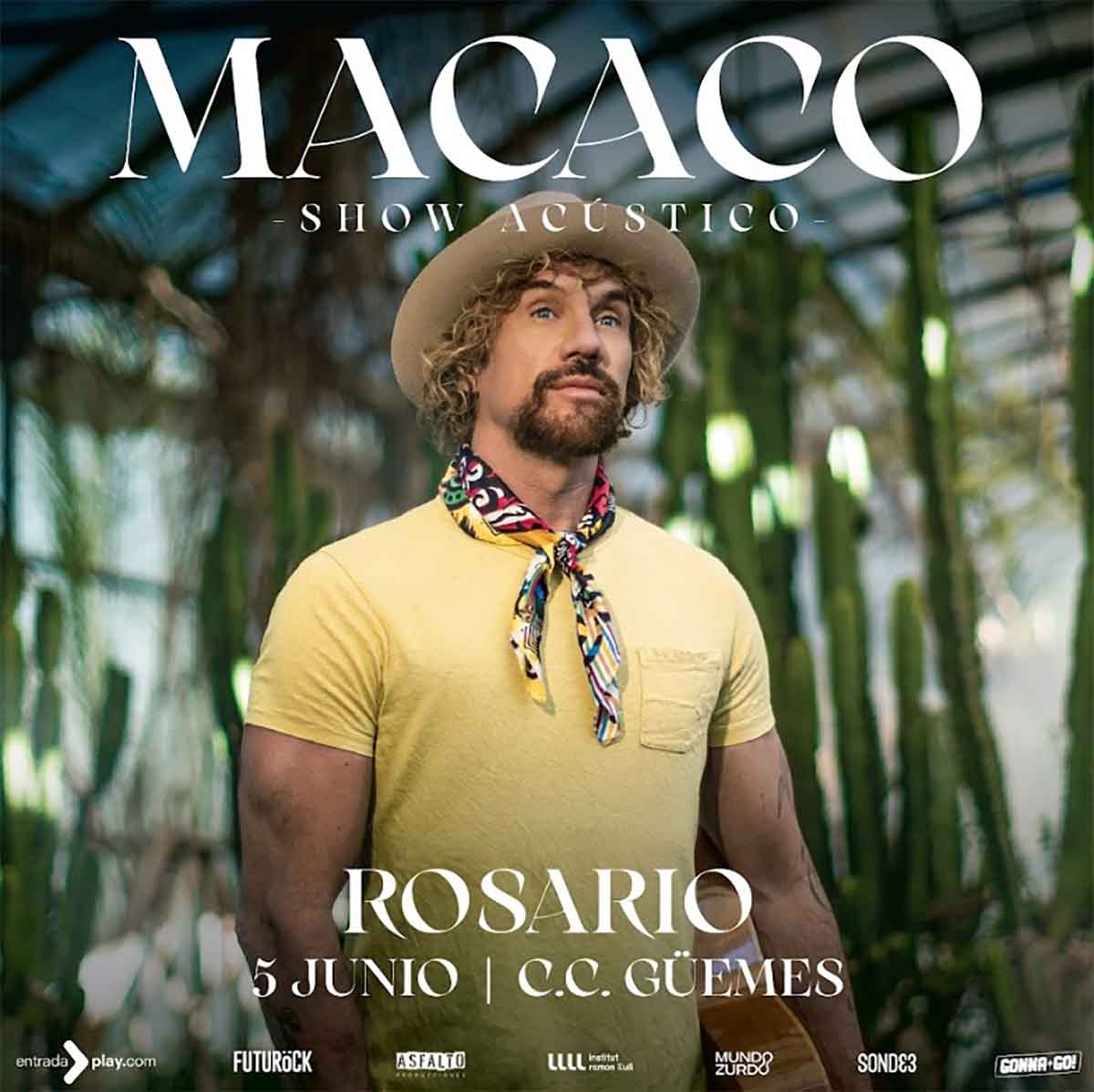Macaco en Rosario