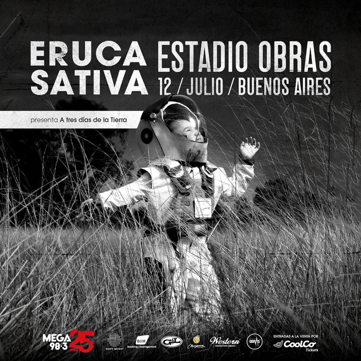 Eruca Sativa en Obras
