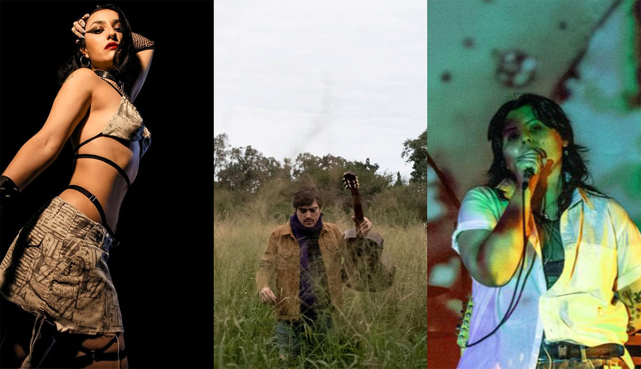 Collage de "5 artistas de Santiago del Estero para descubrir"