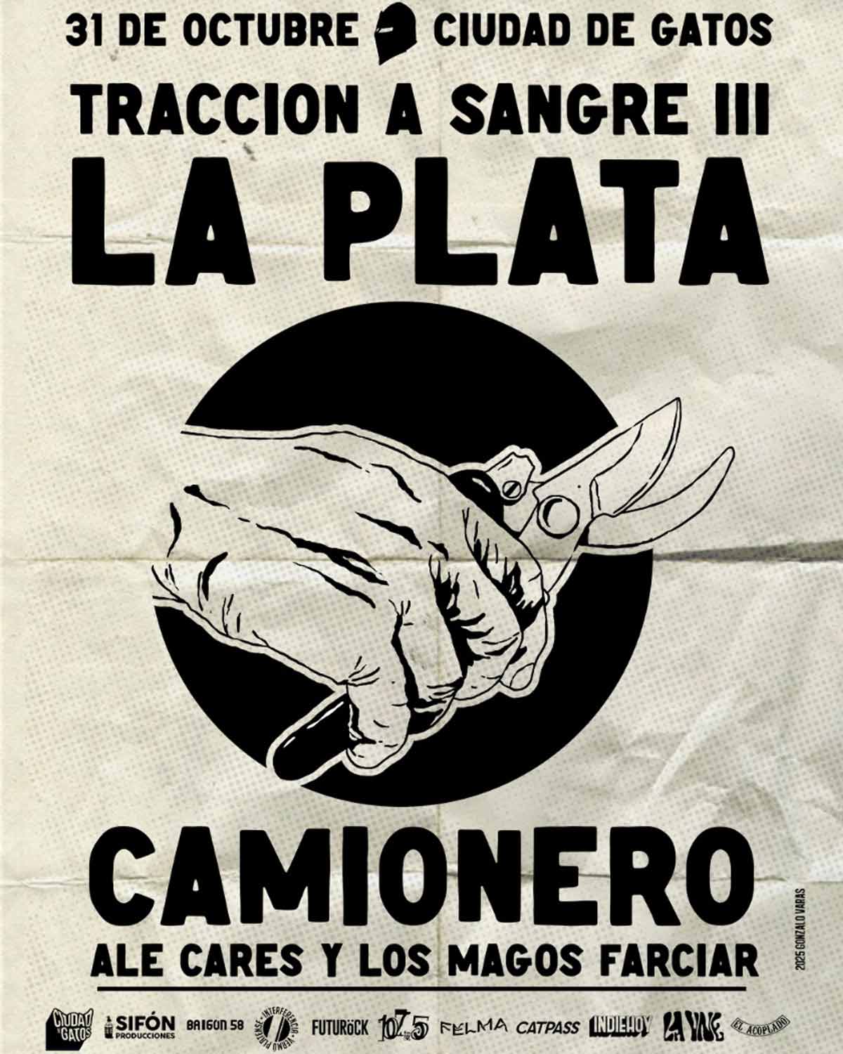 Camionero en Ciudad de Gatos