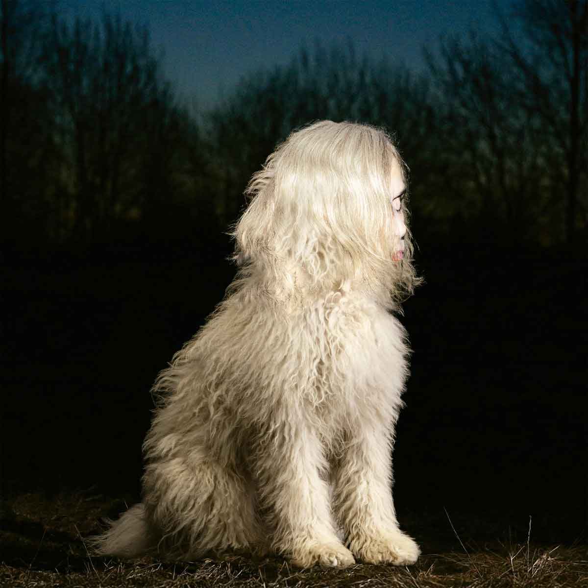 Portada de Doga, disco de Juana Molina