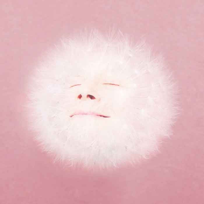 Tapa de "Si estás ahí", single de Juana Molina