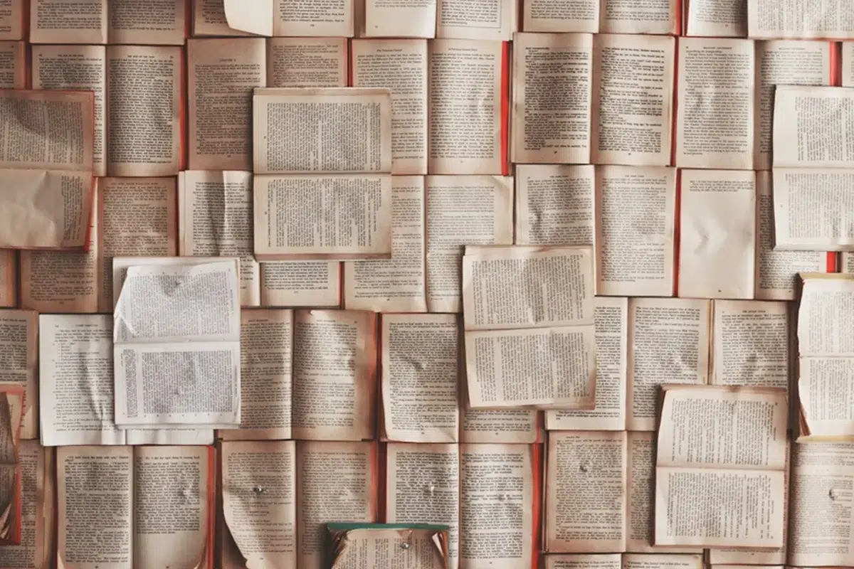 Los libros argentinos elegidos entre los mejores del 2025 para The New Yorker