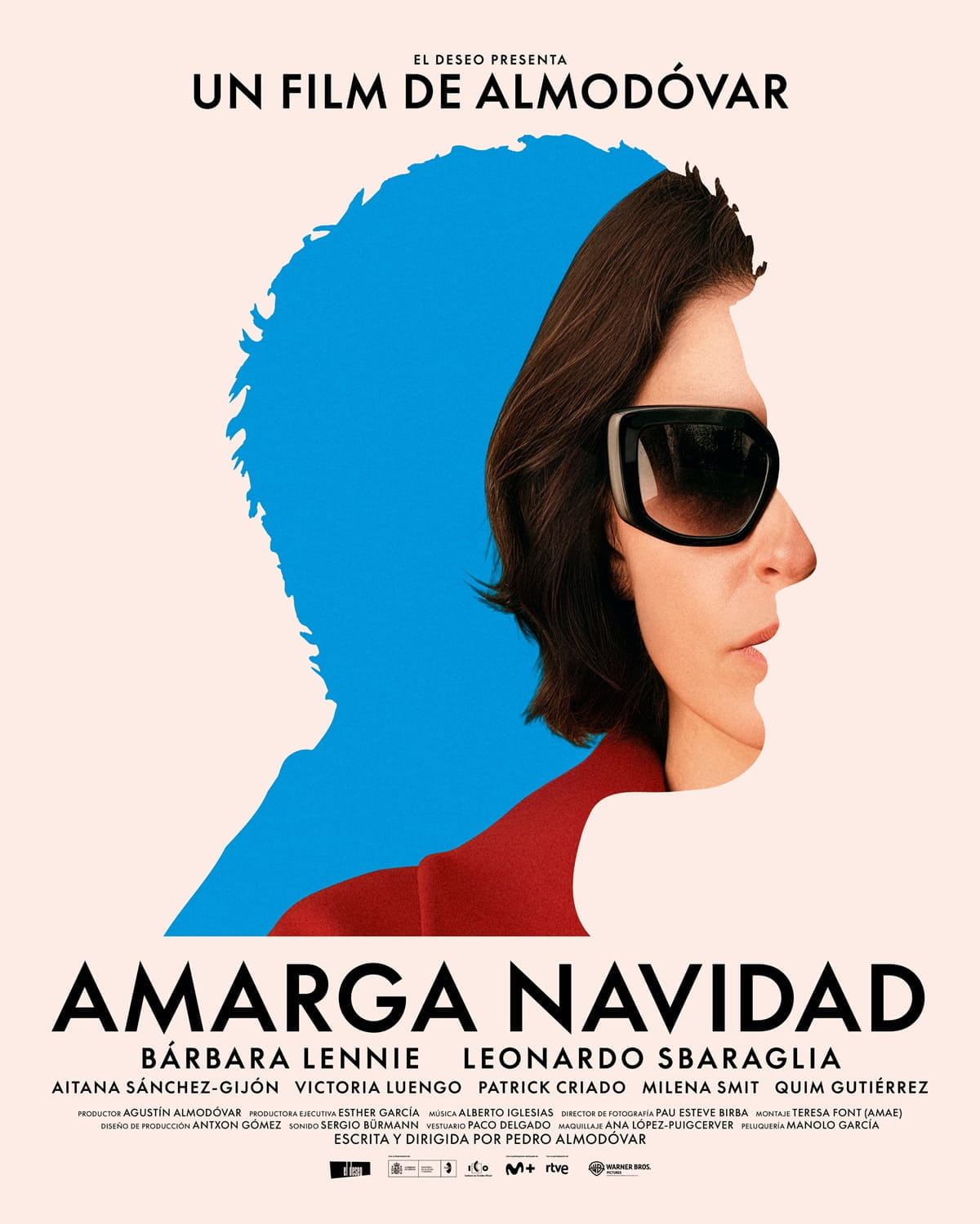 Póster de Amarga Navidad