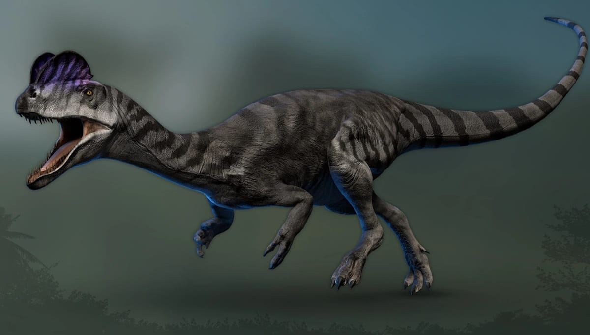 Dilophosaurus wetherilli